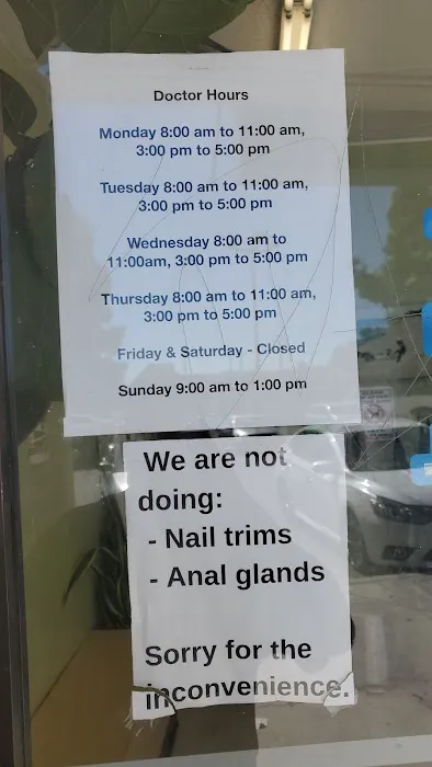 Animal Hospital Veterinarian Picture 3