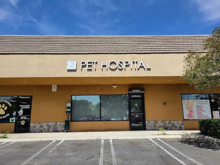 Walnut Village Pet Hospital Picture 4