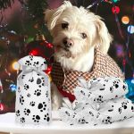 Jurupa Hills Animal Hospital