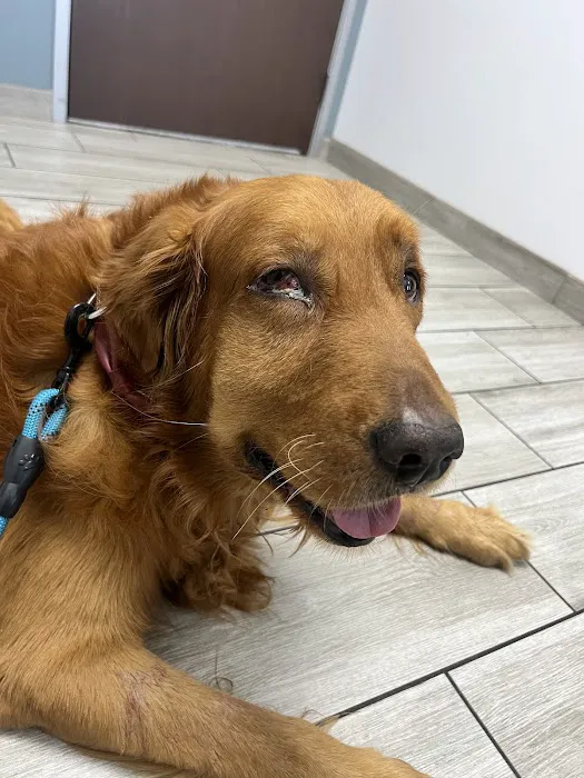 Jurupa Hills Animal Hospital Picture 2