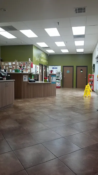 Prestige Animal Hospital - South Fontana Picture 4