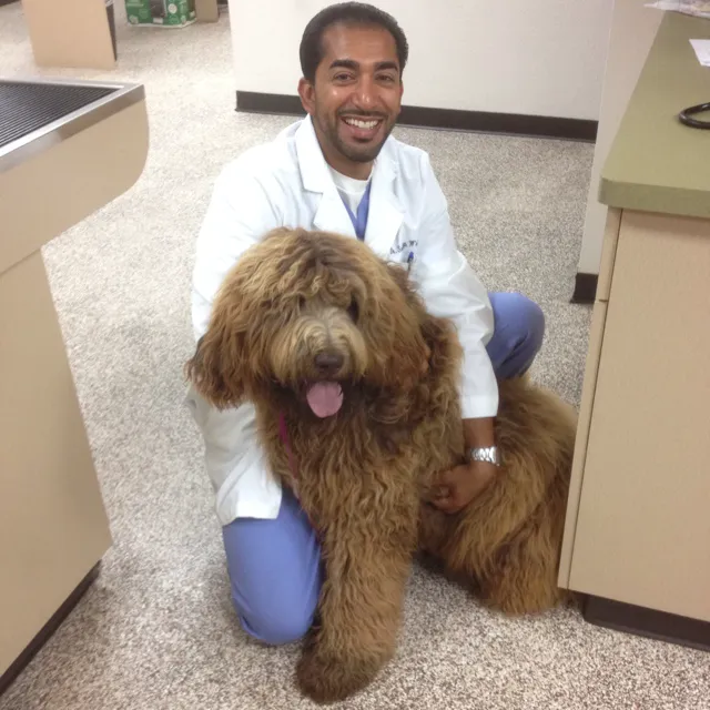 Prestige Animal Hospital - South Fontana Picture 7