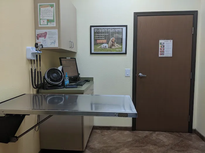 Prestige Animal Hospital - South Fontana Picture 5