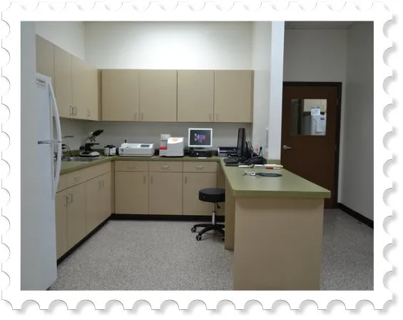 Prestige Animal Hospital - South Fontana Picture 8