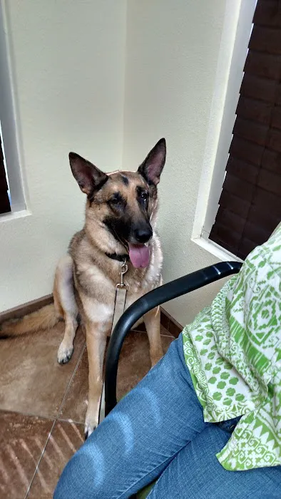Prestige Animal Hospital - South Fontana Picture 6
