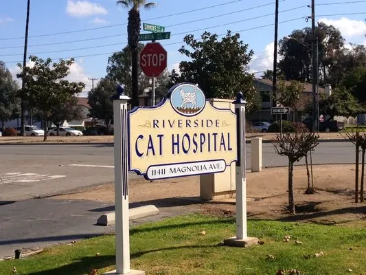 Riverside Cat Hospital Picture 10