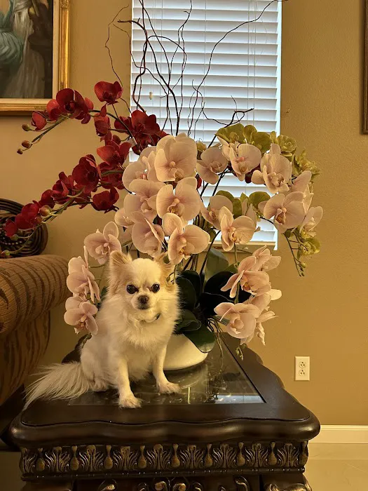 Animal Hospital of Riverside Picture 5