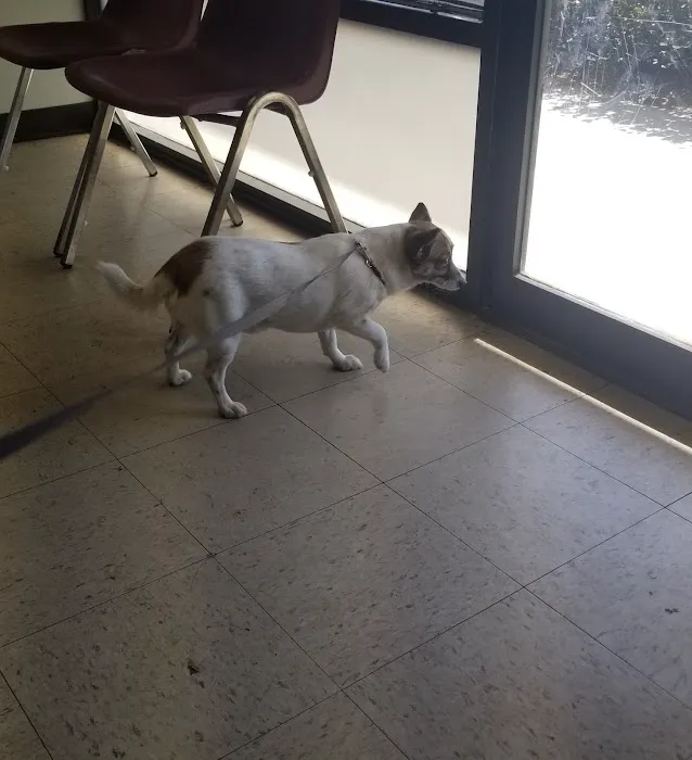 Van Buren Animal Hospital Picture 8