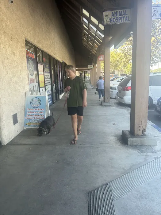 Arlington-Adams Animal Hospital Picture 2