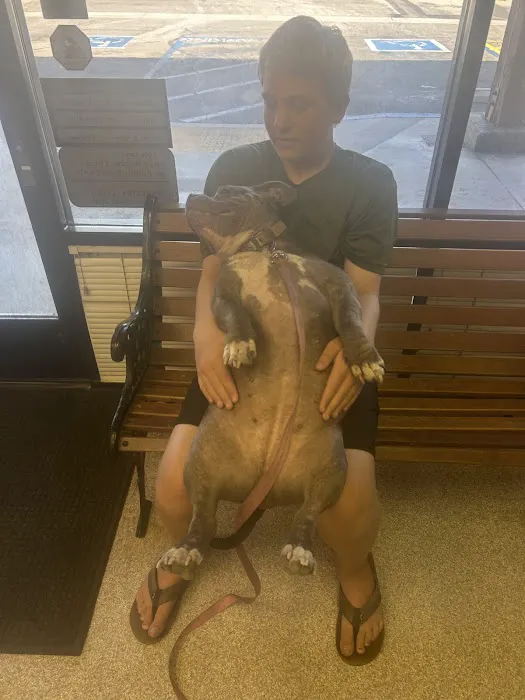 Arlington-Adams Animal Hospital Picture 1