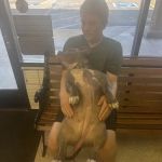 Arlington-Adams Animal Hospital