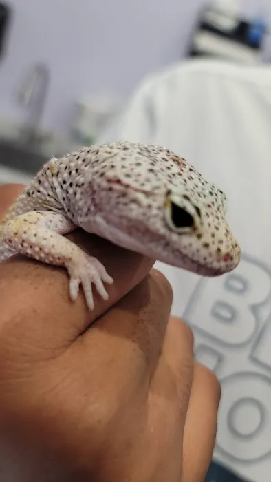 SoCal Animal Hospital Picture 6