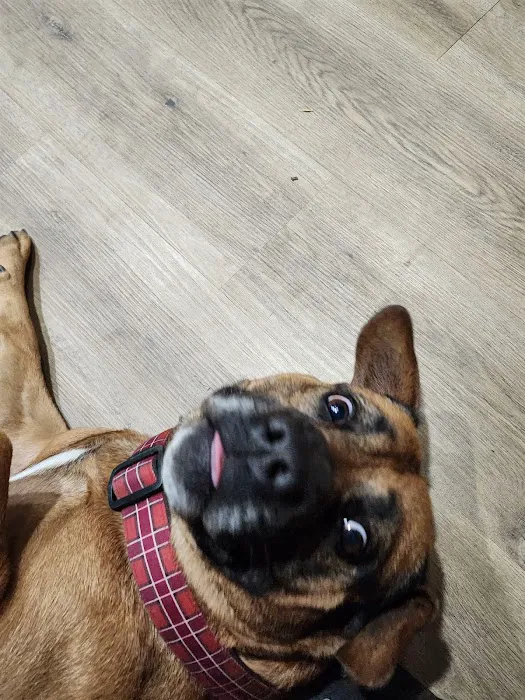 SoCal Animal Hospital Picture 9