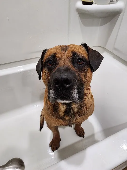 SoCal Animal Hospital Picture 10