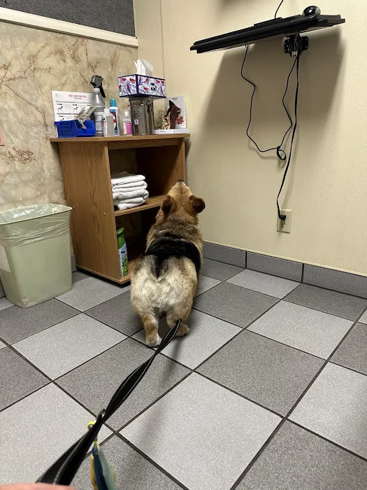 Small Animal Hospital Picture 4