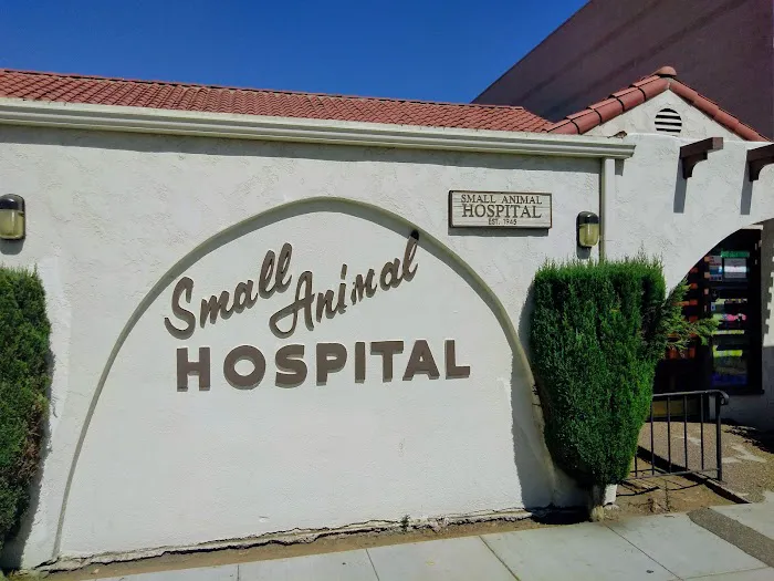 Small Animal Hospital Picture 7