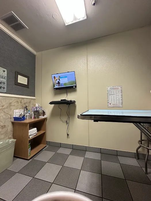Small Animal Hospital Picture 10
