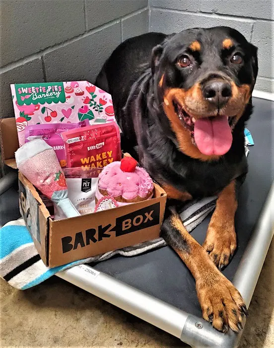 Chisholm Trail Pet Clinic Inc Picture 3