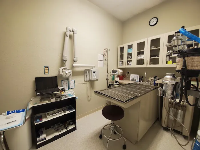 Chisholm Trail Pet Clinic Inc Picture 10