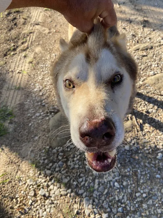 Bowie Pet Clinic Picture 2