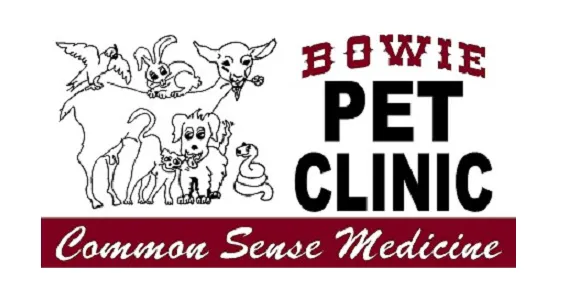 Bowie Pet Clinic Picture 4