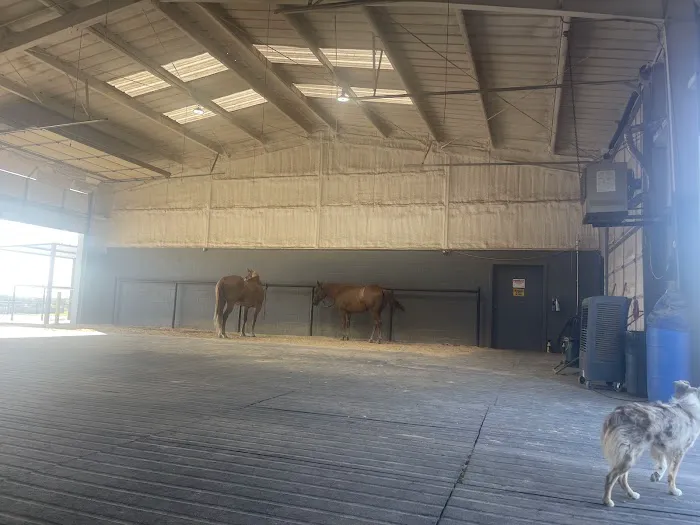 Double X Veterinary Services Picture 4