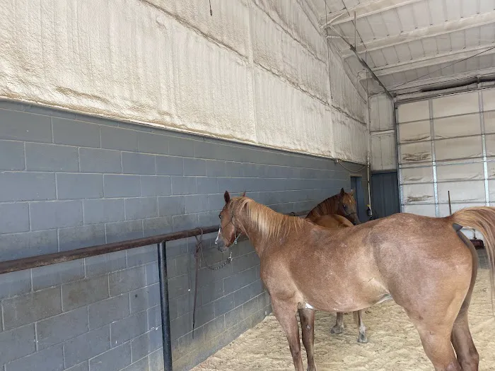 Double X Veterinary Services Picture 5