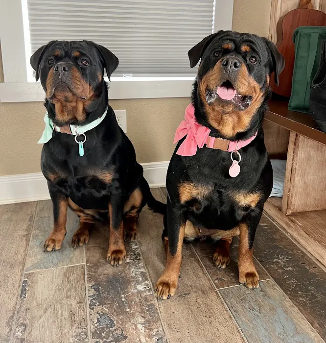 Double X Veterinary Services Picture 10
