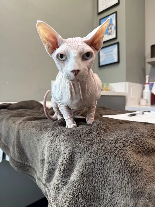 Barks + Bliss Veterinary Wellness Picture 2