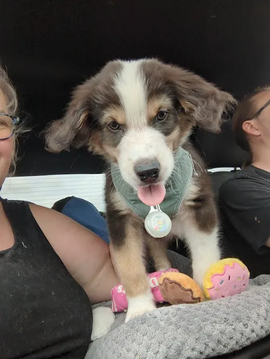 Banfield Pet Hospital Picture 2