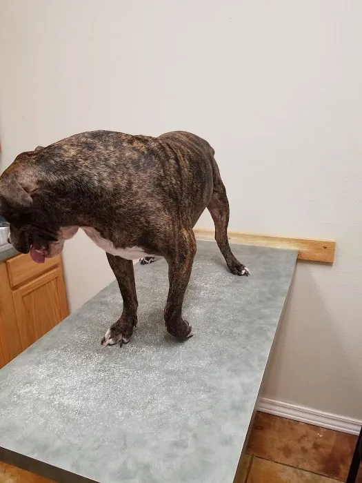 Lakewood Veterinary Center Picture 3
