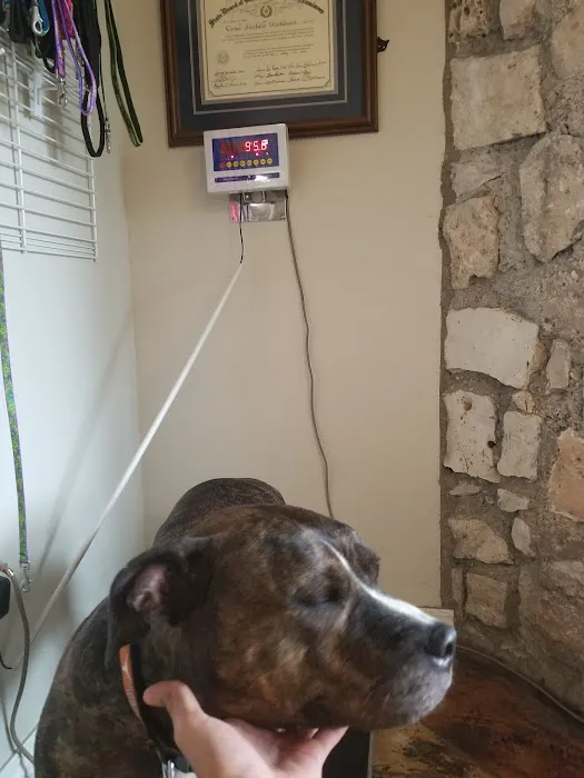 Lakewood Veterinary Center Picture 5