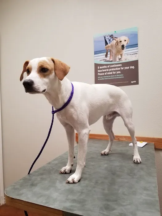 Lakewood Veterinary Center Picture 4