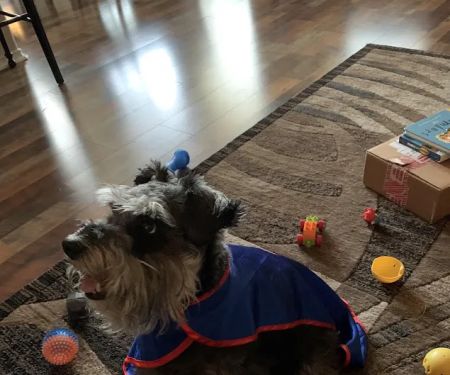 Family Pet Clinic