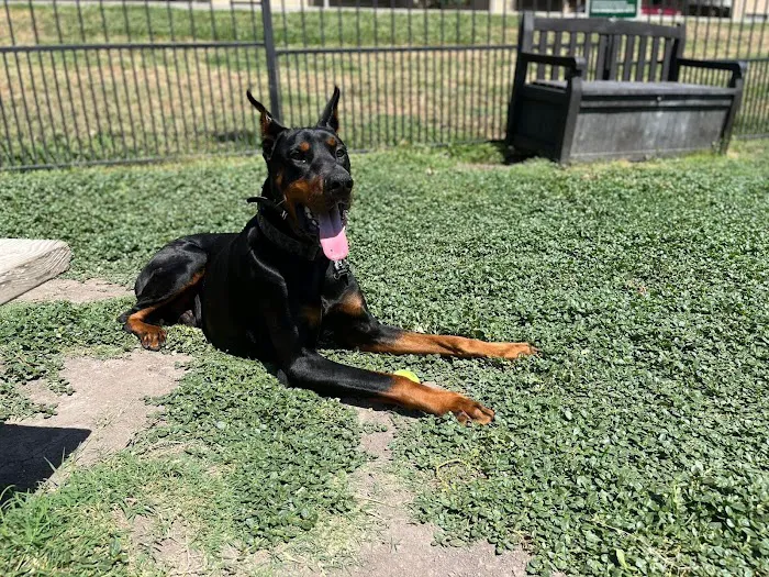 Family Pet Clinic Picture 7