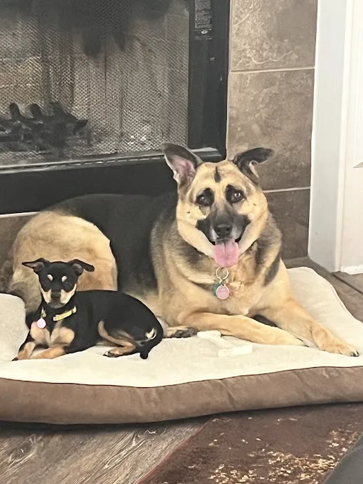 Family Pet Clinic Picture 10