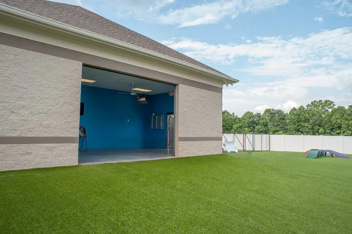 Hampton Cove Animal Hospital & Covepets Picture 8