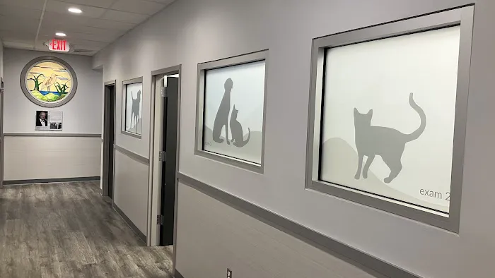 Hampton Cove Animal Hospital & Covepets Picture 6