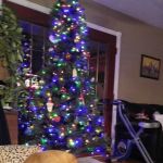 Complete Care Animal Hospital