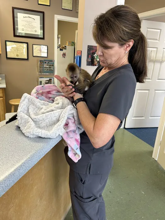 Complete Care Animal Hospital Picture 2