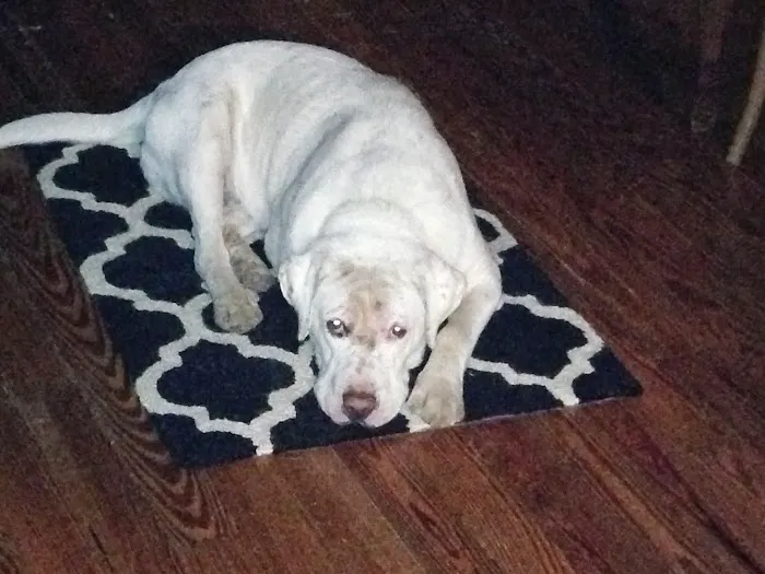 Complete Care Animal Hospital Picture 3