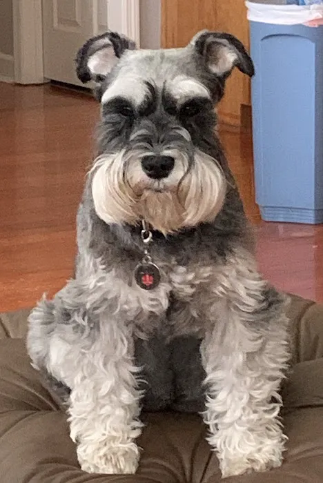 Mann Veterinary Hospital Picture 8