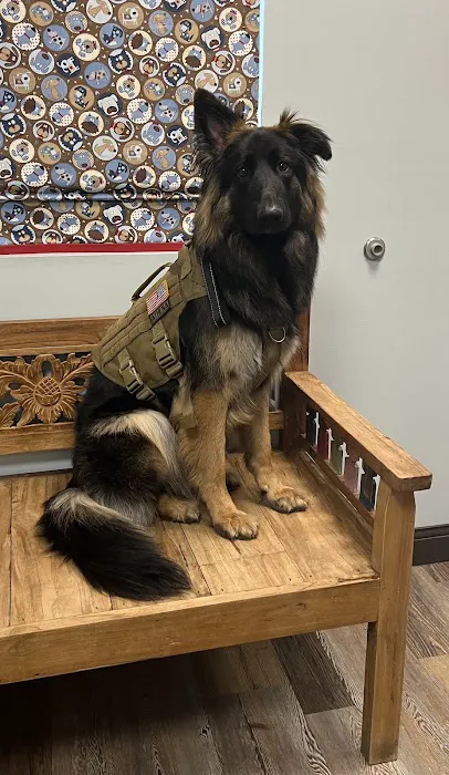 Mann Veterinary Hospital Picture 10