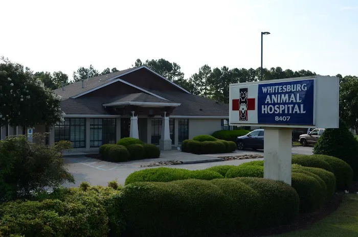 Whitesburg Animal Hospital Picture 2