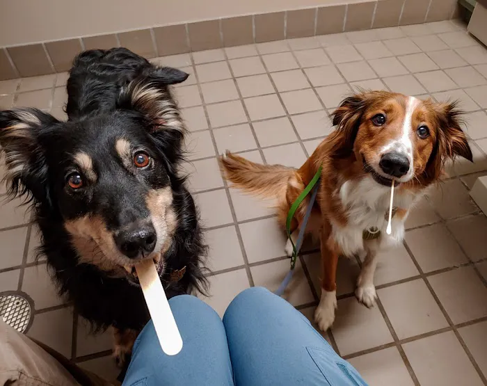 Whitesburg Animal Hospital Picture 5