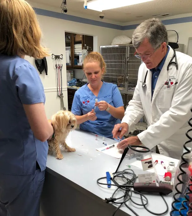 Whitesburg Animal Hospital Picture 8