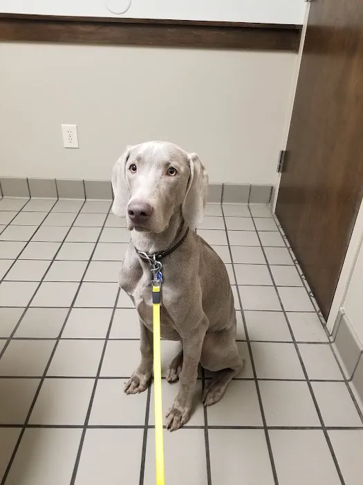 Whitesburg Animal Hospital Picture 7