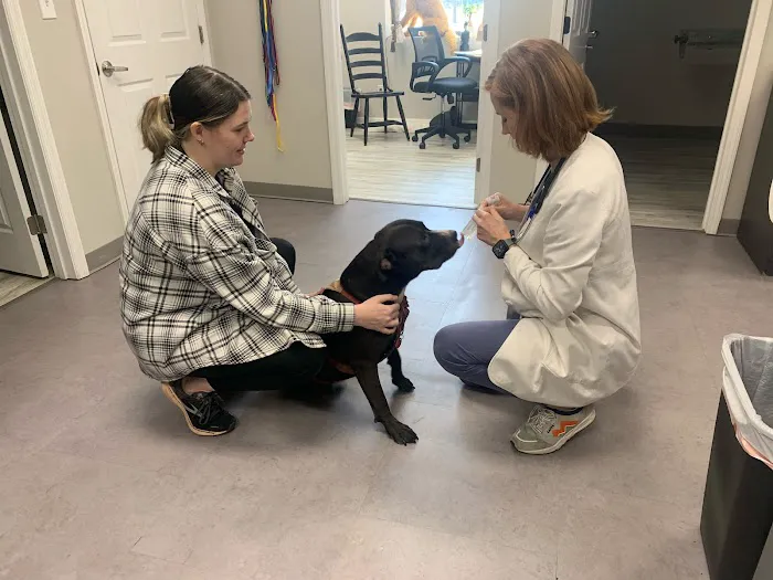 South Huntsville Veterinary Hospital Picture 8