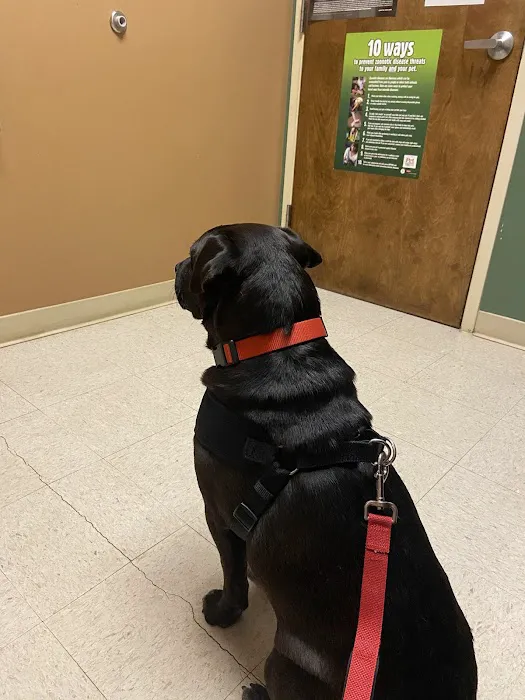 Best Friends Animal Hospital Picture 6