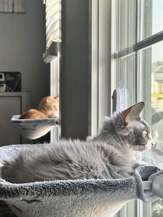 Best Friends Animal Hospital Picture 5